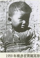 杨彦在青藏高原