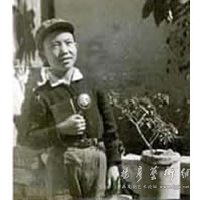 阳光灿烂的日子